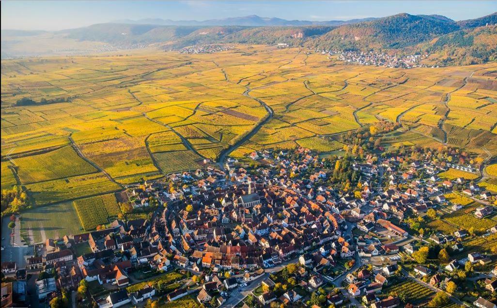 Duplex Saint Lustre, View Over Castle And Storks, 5 Mn From Colmar Eguisheim Εξωτερικό φωτογραφία