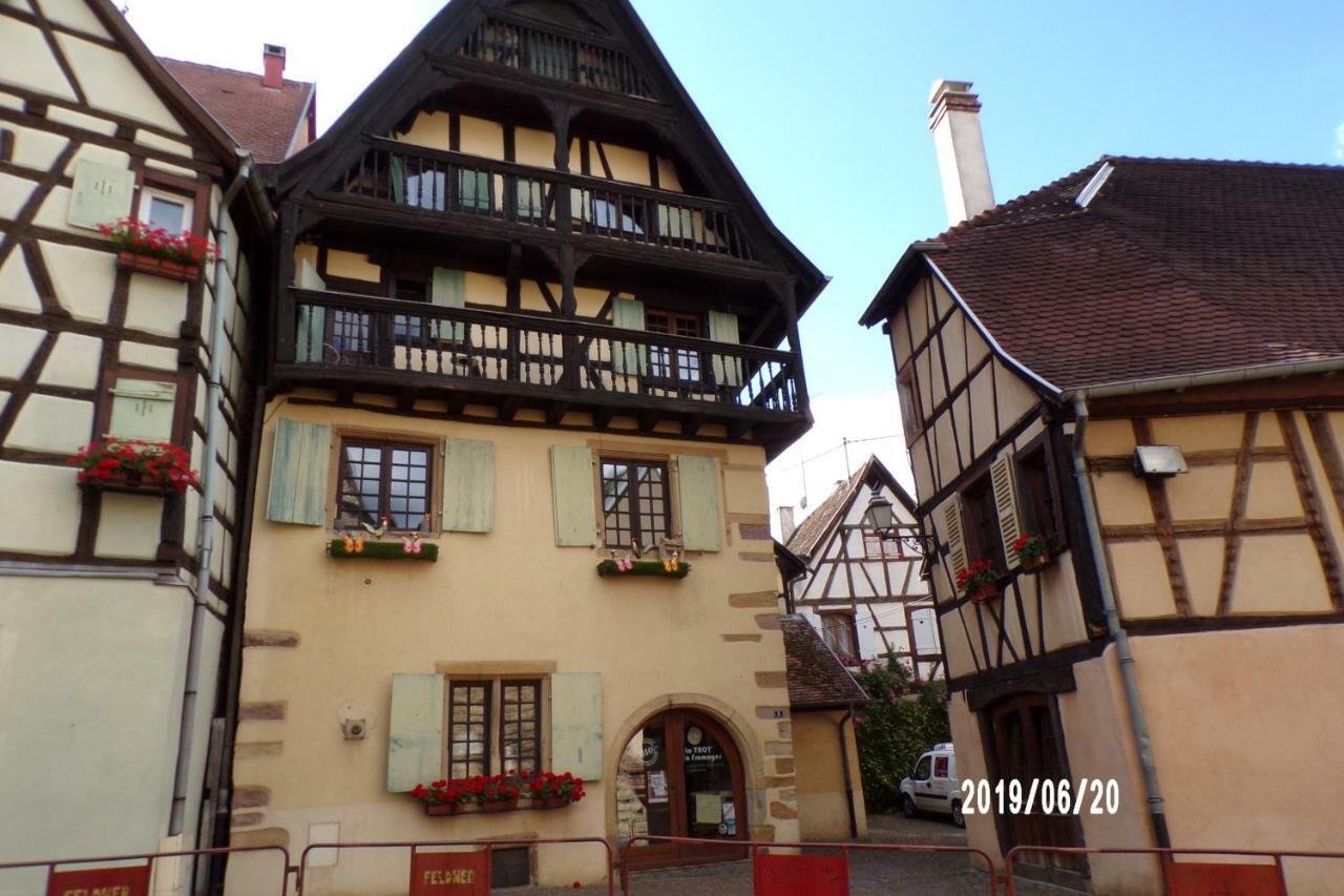 Duplex Saint Lustre, View Over Castle And Storks, 5 Mn From Colmar Eguisheim Εξωτερικό φωτογραφία