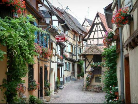 Duplex Saint Lustre, View Over Castle And Storks, 5 Mn From Colmar Eguisheim Εξωτερικό φωτογραφία